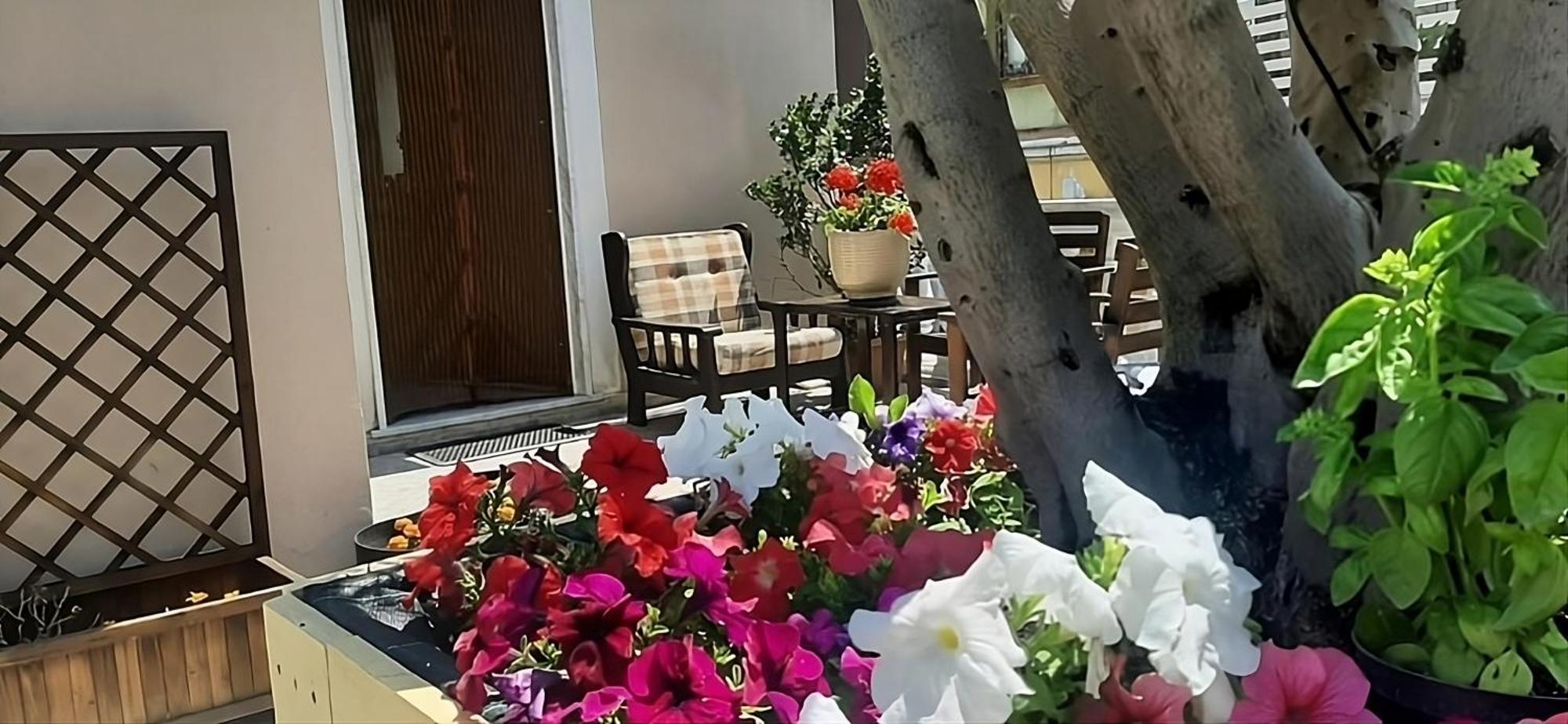 Holiday House Nellina Boscoreale Bagian luar foto